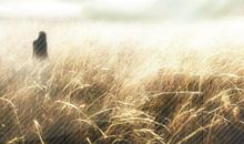 思念是一种最美的东西