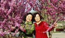 与姐妹一起走过的日子