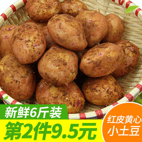生土豆