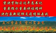 讲究实际，不求浮华