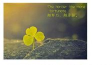 读《一句顶一万句》有感