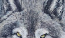 狼图腾，草原魂——读《狼图腾》有感