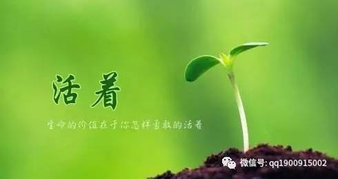 幸福在此刻生活