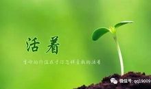 幸福是活在当下