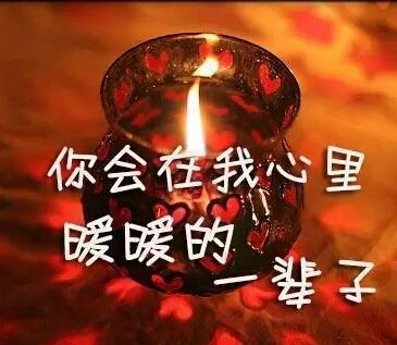 在生活中的爱
