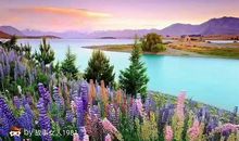 人生路上多艰险