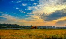 一路风景，一路温暖