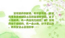 如歌时光蓓蕾初放