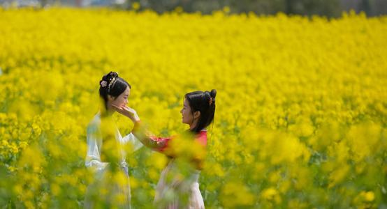 金花3月慢城市线