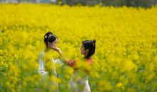 金花三月慢城行