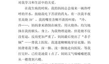 《亲情故事》读后感