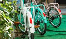 以爱之名，落一笺诗语——《醉花阴》改写