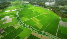 梦想着穿越时空