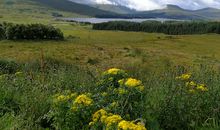 走进书中的世界——读《湖光山色》有感