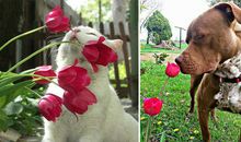 停下脚步，观赏旁物