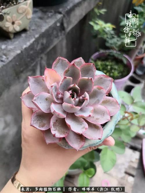 花时间涂色