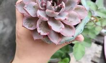 给时间涂上一抹色彩