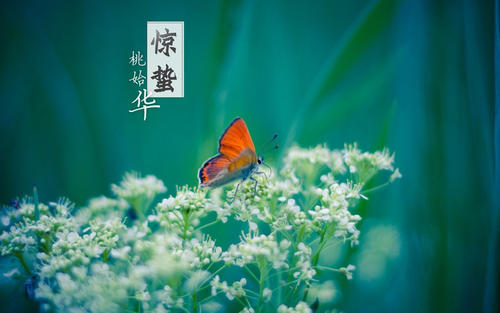 恐怖