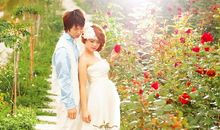 “幸福花海”在绽放