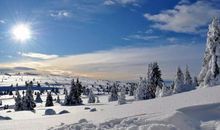 又是一年冬日暖