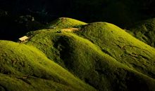 《雨后初晴》诗歌