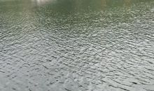 美丽的镜泊湖牵动我的心