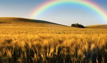 保持一颗平常心