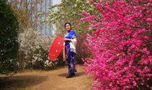 我想拥抱你春天