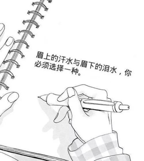 我已经了解了法律