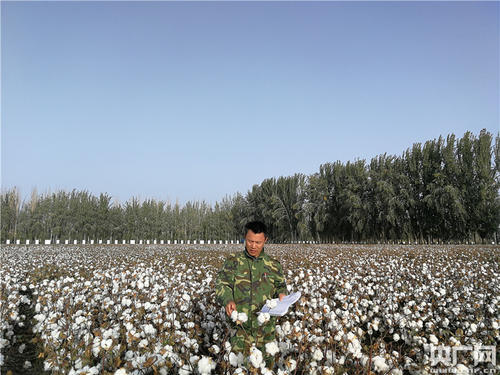 中国梦·河源梅