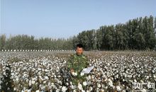 中国梦·河源美