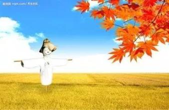 思维稻草
