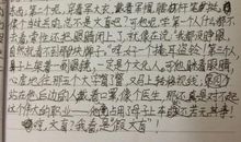 假文盲六年级作文