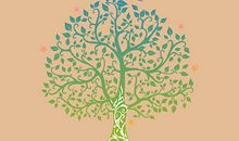 检点让人生之树枝繁叶茂