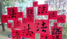 了解法治关心法治