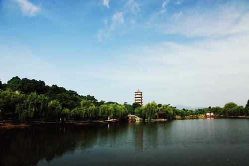 谁没有说一个好的家乡？