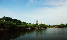 谁不说俺的家乡好