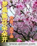 梦幻桃花