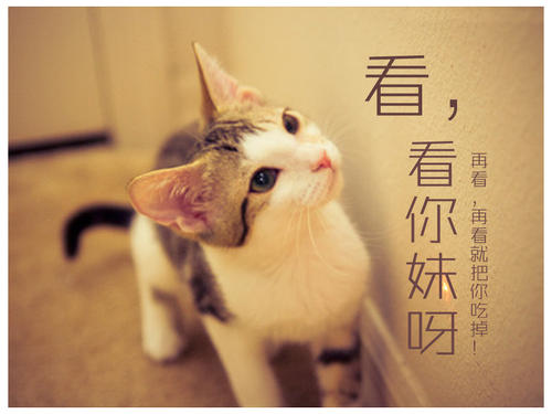 阅读九年级，我有很多成熟