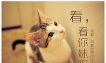 读九年级，我多了一份成熟