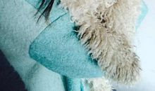 藏在记忆深处的温情