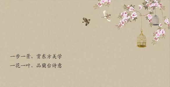一朵花影响了我的感受