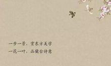 一朵花牵动了我的情思