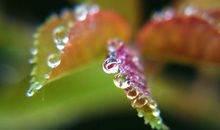 关爱别人善待自己