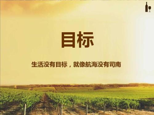 我生活在奖励中