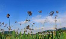 寻找属于自己的季节