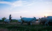 走在回家的小路上