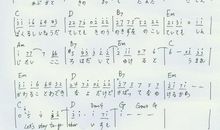 我的乒乓球之路