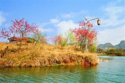 像春华这样的冬季景观