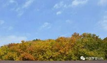 我和环境有个约会